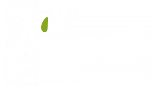 Aillwee Burren Experience