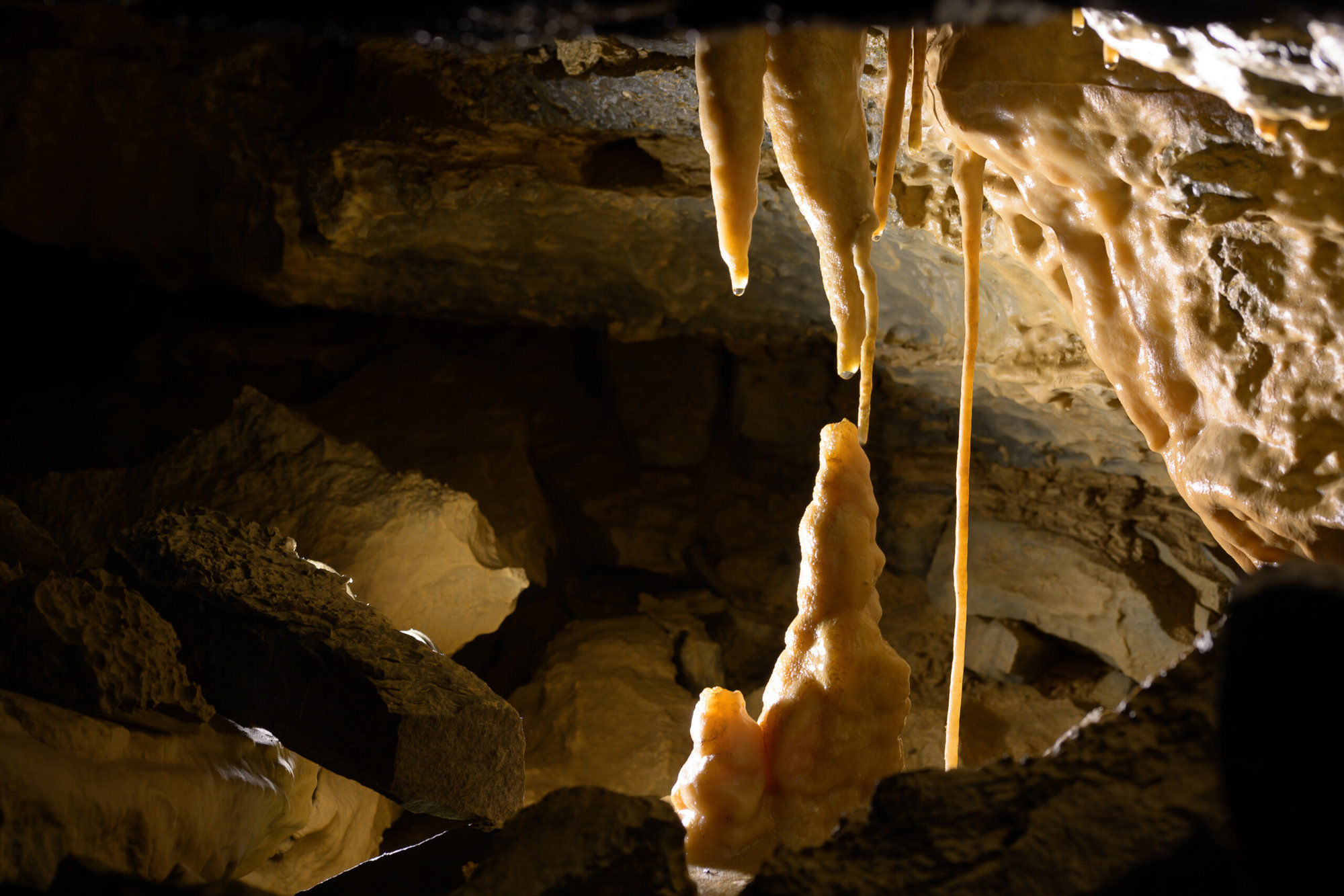 Aillwee Cave &#8211; The Burren, Aillwee Burren Experience