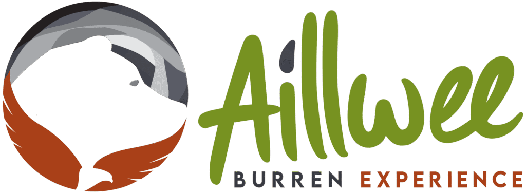 AILLWEE CAVE BURREN EXPERIENCE