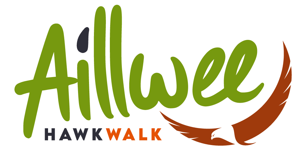 - aillwee-hawk-walk