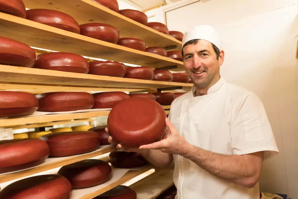- Burren Gold Cheese 12
